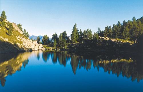 a body of water with trees on the shore at Hotel Xalet Verdú in Arinsal