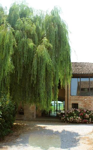 a weeping willow tree in front of a building at B&B Il Conte Giacomo in Viarolo