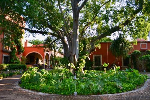 Ein Garten an der Unterkunft Hacienda de los Santos