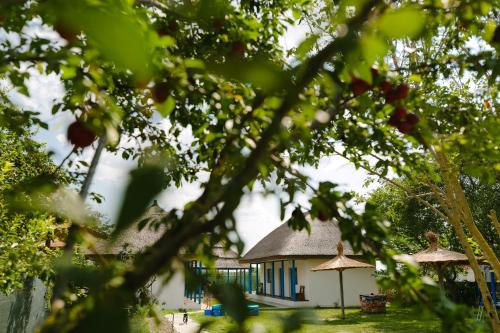 a small house with a thatched roof and trees at Stuffino Crisan in Crisan
