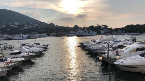 a group of boats docked in a harbor at Casa Vacanze Riva Destra in Ischia