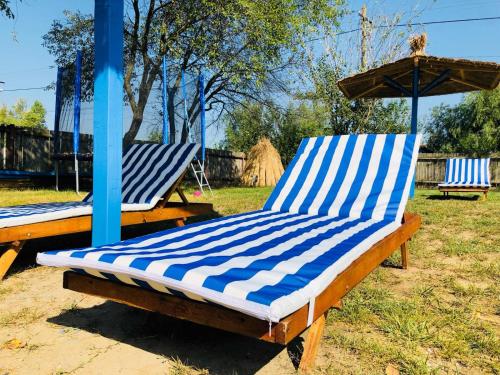 two blue and white chairs sitting under an umbrella at Stuffino Crisan in Crisan