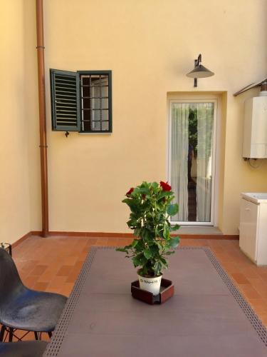 a living room with a plant and a chair at DaLu Florence apartment Davide - private car park 15 minutes to the city center in Florence