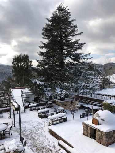 a snow covered park with a tree and benches at Hostal La Guineu in Viladrau