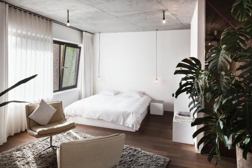 ブリュッセルにあるTeddy Pickerのベッドルーム1室(ベッド1台、椅子、植物付)