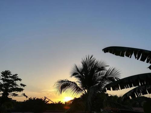 una palmera con la puesta de sol en el fondo en Hostel do Ceu en Pipa