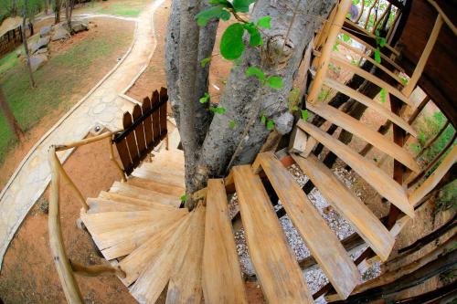 an overhead view of a wooden staircase next to a tree at La Pentera in Hambegamuwa