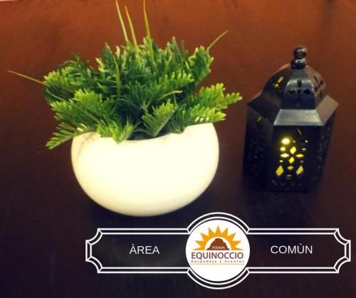 a white vase with a plant in it next to a lantern at Posada Equinoccio in Bernal