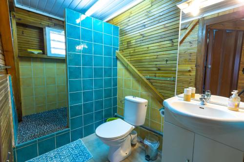 a blue tiled bathroom with a toilet and a sink at Chez Seb & Klo in Desbassyns