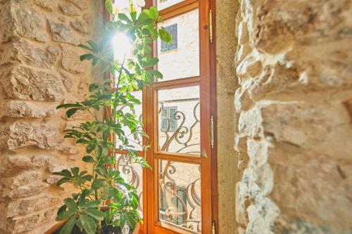 a window with a plant next to a stone wall at Cas Comte Suites & Spa - Adults Only in Lloseta