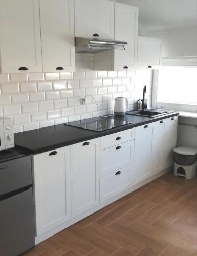 Kuchyň nebo kuchyňský kout v ubytování Skarbek Iława, pokoje i apartamenty