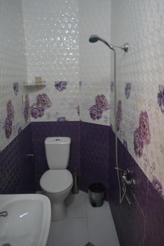 hotel niks في ماكينجاوري: حمام مع مرحاض ومغسلة ودش