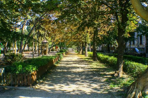 a tree lined path in a park with a fence at Deák Apartman in Sopron