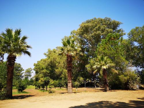 Φωτογραφία από το άλμπουμ του Village Camping Fico D'India σε Ovile la Marina