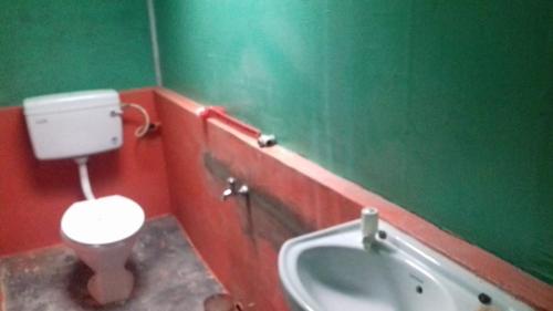 a bathroom with a toilet and a green wall at Gopal Homestay in Sukhia Pokhari