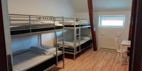 Habitación con 4 literas en una habitación en Baggetorps Vandrarhem en Vallhalla
