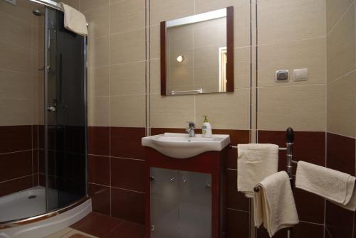 ein Bad mit einem Waschbecken, einer Dusche und einem Spiegel in der Unterkunft domek w Krynicy Zdroju in Krynica-Zdrój
