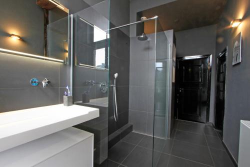 un bagno con doccia in vetro e lavandino di Bed & breakfast in monumental house maastricht centre a Maastricht