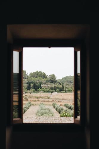 a view of a garden through a window at Agroturisme Gossalba in Sant Joan