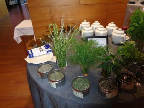 a table with potted plants on top of it at BIO Hotel - Hotel Quinta da Serra in Estreito de Câmara de Lobos