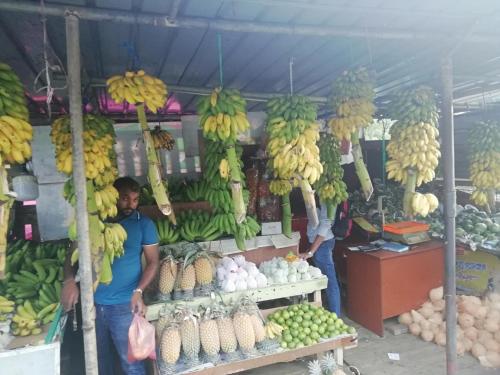 two men standing in a market with bunches of bananas at Mahaweli Shades in Kandy