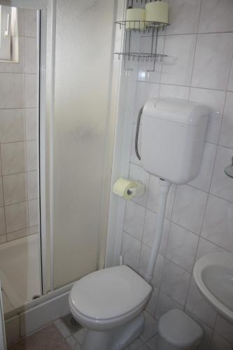 a white bathroom with a toilet and a shower at Sobe Stipe in Primošten