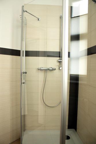 a shower with a glass door in a bathroom at Apartments anno 1560 in Quedlinburg