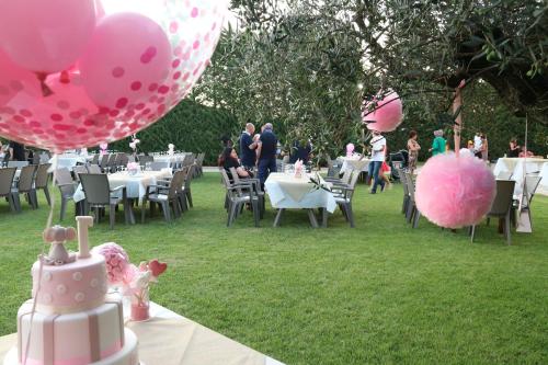 a table with a cake and pink balloons on the grass at Il Casino di Remartello in Loreto Aprutino