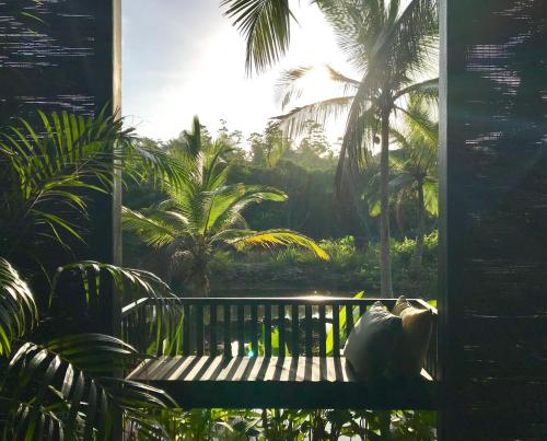 a cat sitting on a bench in front of a window at KAJU GREEN eco lodges in Unawatuna