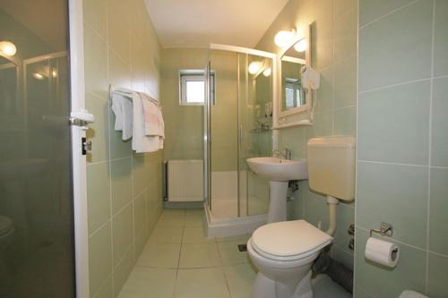 La salle de bains est pourvue de toilettes, d'un lavabo et d'une douche. dans l'établissement Pensiunea Confort, à Buşteni