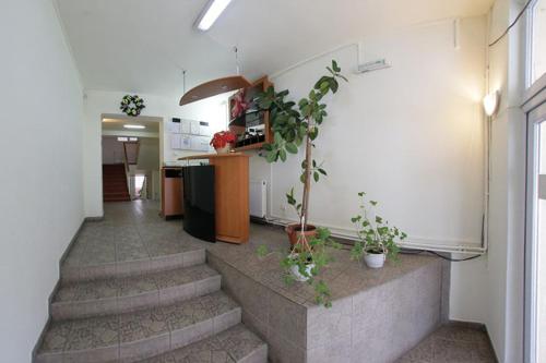 Gallery image of Pensiunea Confort in Buşteni