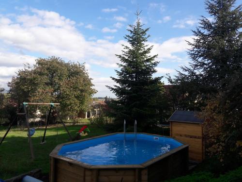 una piscina en un patio con un árbol de Navidad en Gîte et Chambres d'hôtes, l'Erable, en Beblenheim