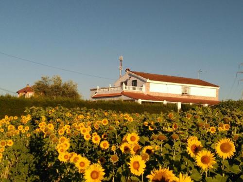 Vakantiehuis Casa los Girasoles (Spanje El Higuerón ...