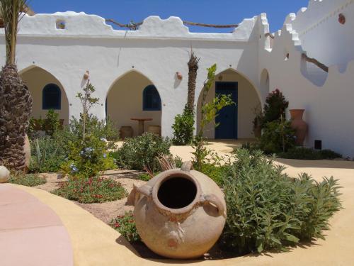 a garden in front of a house with a large vase at Dar Aladin in Arkou