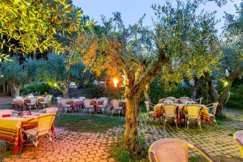 a group of tables and chairs under a tree at Camping&Village Le Cernie in Lotzorai