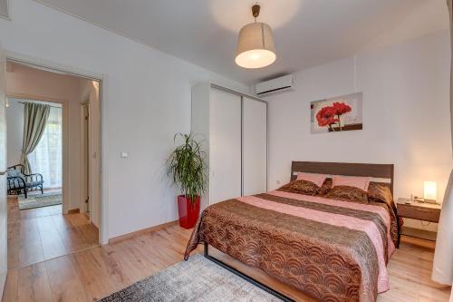 a bedroom with a bed and a potted plant at Bucharest Airport Suites & Villas in Otopeni