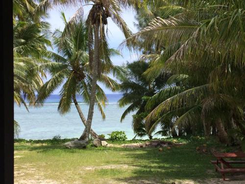 a view of the ocean from a beach with palm trees at Shoreline Escape Rarotonga in Rarotonga