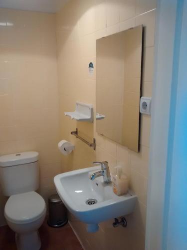 a bathroom with a toilet and a sink and a mirror at Albergue Peregrinos La Casa Verde in San Martín del Camino