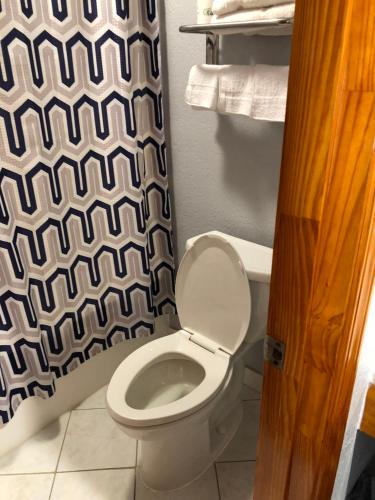 a bathroom with a toilet and a shower curtain at Budget Inn - Laurens in Laurens