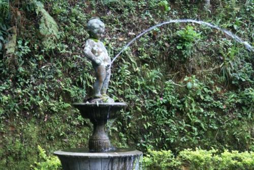 Pousada Recanto das Flores – Photos 4