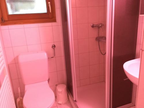 a pink bathroom with a toilet and a sink at Chalet Marina in Albinen