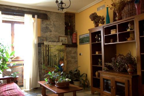 a living room filled with lots of potted plants at Hostal Rural Elosta in Lekunberri