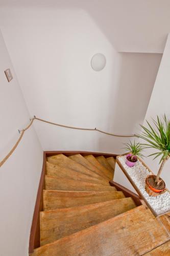 a staircase in a house with wooden floors and plants at Centrum House Hostel in Braşov