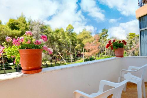a balcony with two potted plants and two chairs at Vila Flamuri in Golem