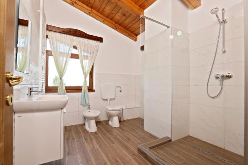 uma casa de banho com um WC, um lavatório e um chuveiro em Pensiunea SanMartin em Sânmartin