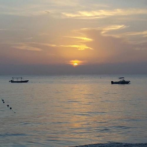 Gallery image of Secret Cabins at Firefly Beach Cottage in Negril