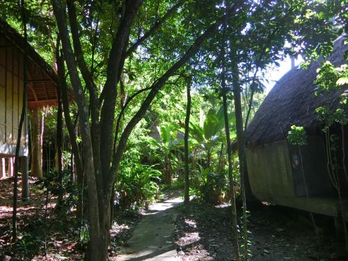 a house with a thatch roof in the forest at The Narima - SHA Plus in Ko Lanta