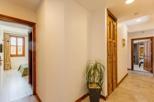 Gallery image of Djumba Hotel & Cafe in North Nicosia