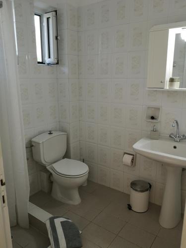 a white bathroom with a toilet and a sink at Elaionas in Leonidion