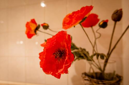 a group of red flowers in a vase at Beck's Bed and Breakfast in Kaatsheuvel